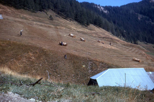 Les trousses de foin au dessus du village 1964